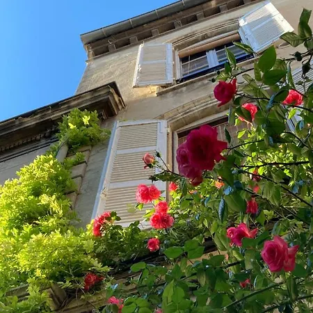 Cocooning Avignon-2